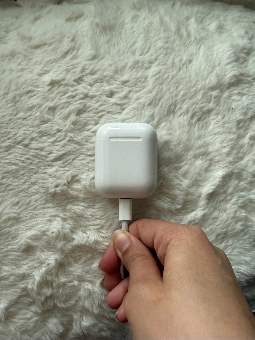 Apple compact true